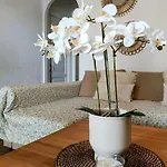Binimar - Cala En Porter Appartement Cala En Porter (Menorca)