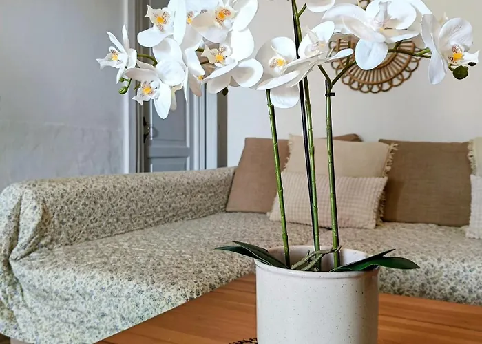 Binimar - Cala En Porter דירה Cala En Porter (Menorca)