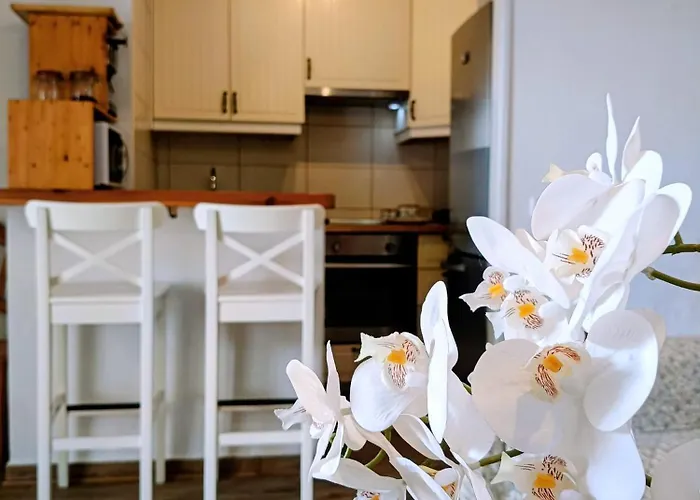 Binimar - Cala En Porter דירה